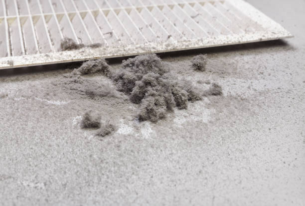 Best Home Air Vent Cleaning  in Johnstown, NY